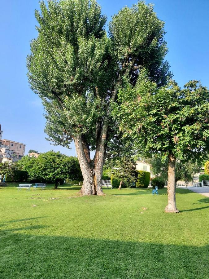 Residenza Palmira Bardolino Lägenhet Calmasino Exteriör bild